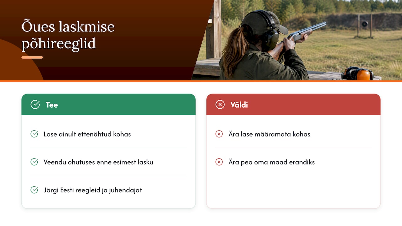 Kus Eestis õues lasta tohib — overview diagram
