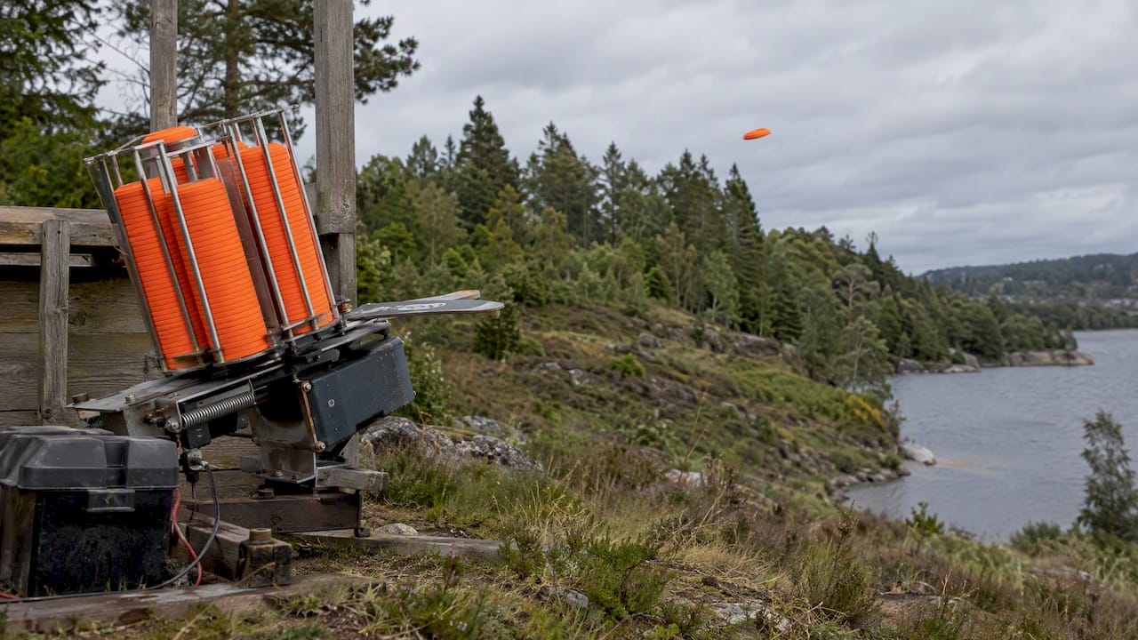Savi sihtmärk läbimas metsaga piirnevat spordirada