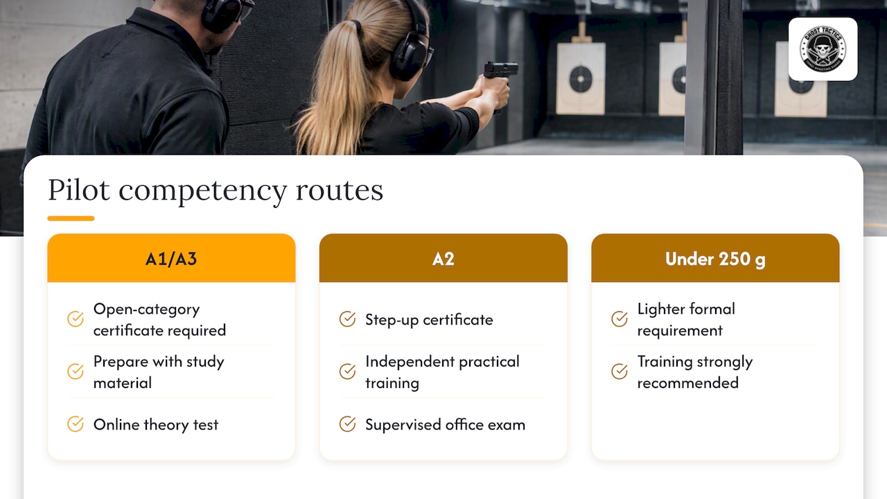 Step two: hold the right pilot competency — overview diagram